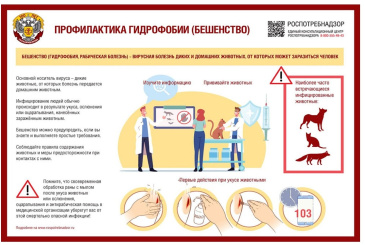 Роспотребнадзор информирует о рекомендациях по профилактике бешенства
