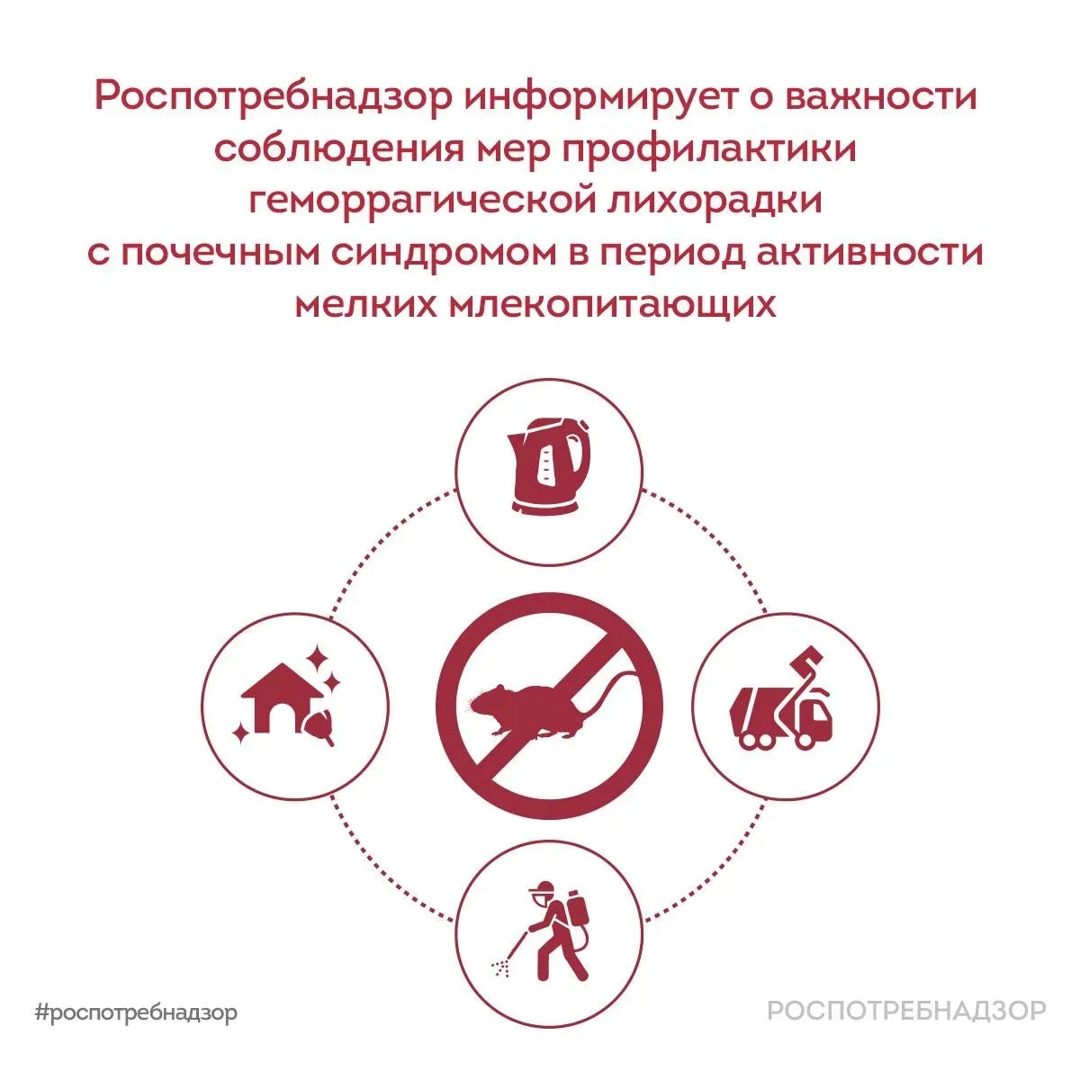 Роспотребнадзор информирует о важности соблюдения мер профилактики геморрагической лихорадки с почечным синдромом в период активности мелких млекопитающих.