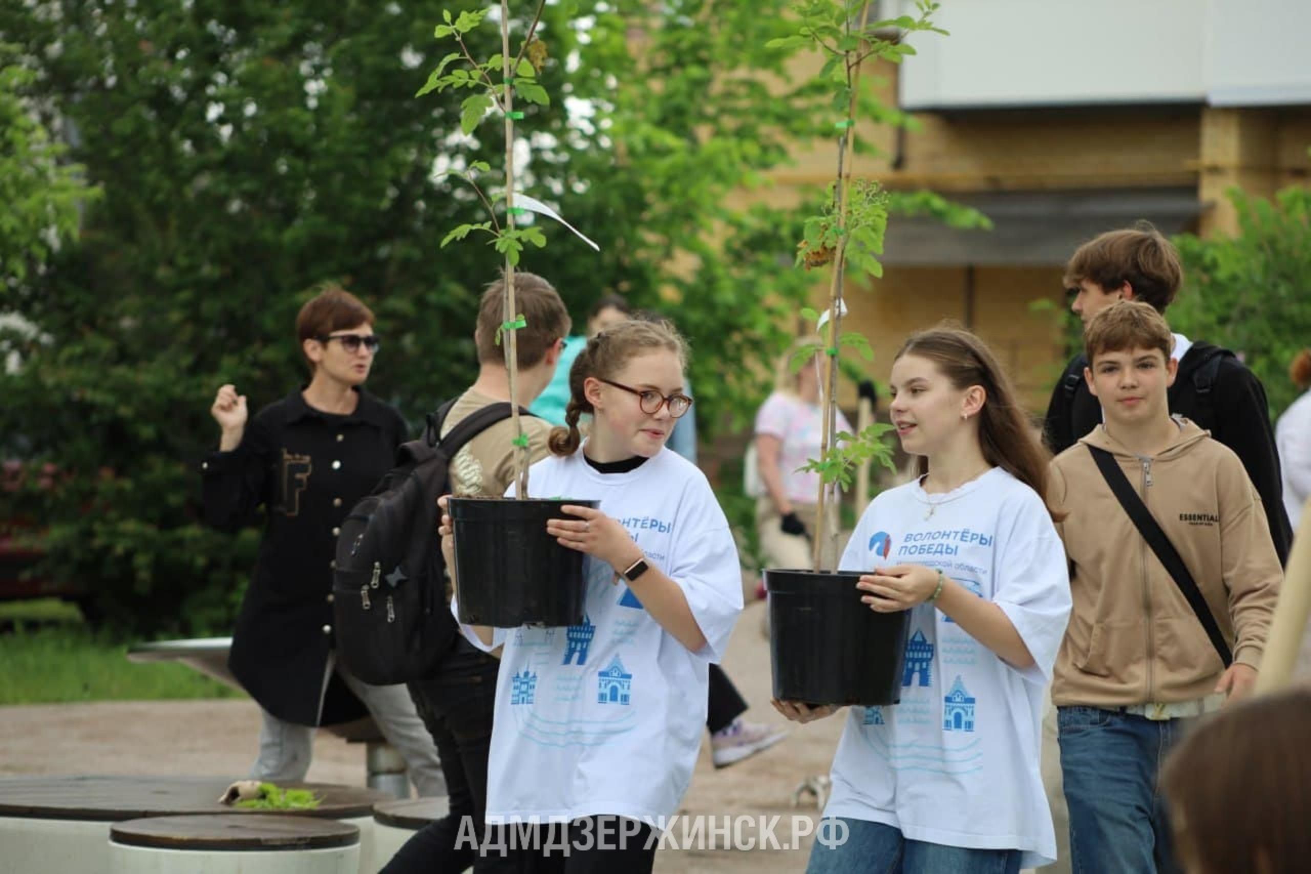 30 саженцев деревьев и кустарников высадили в Дзержинске в День эколога