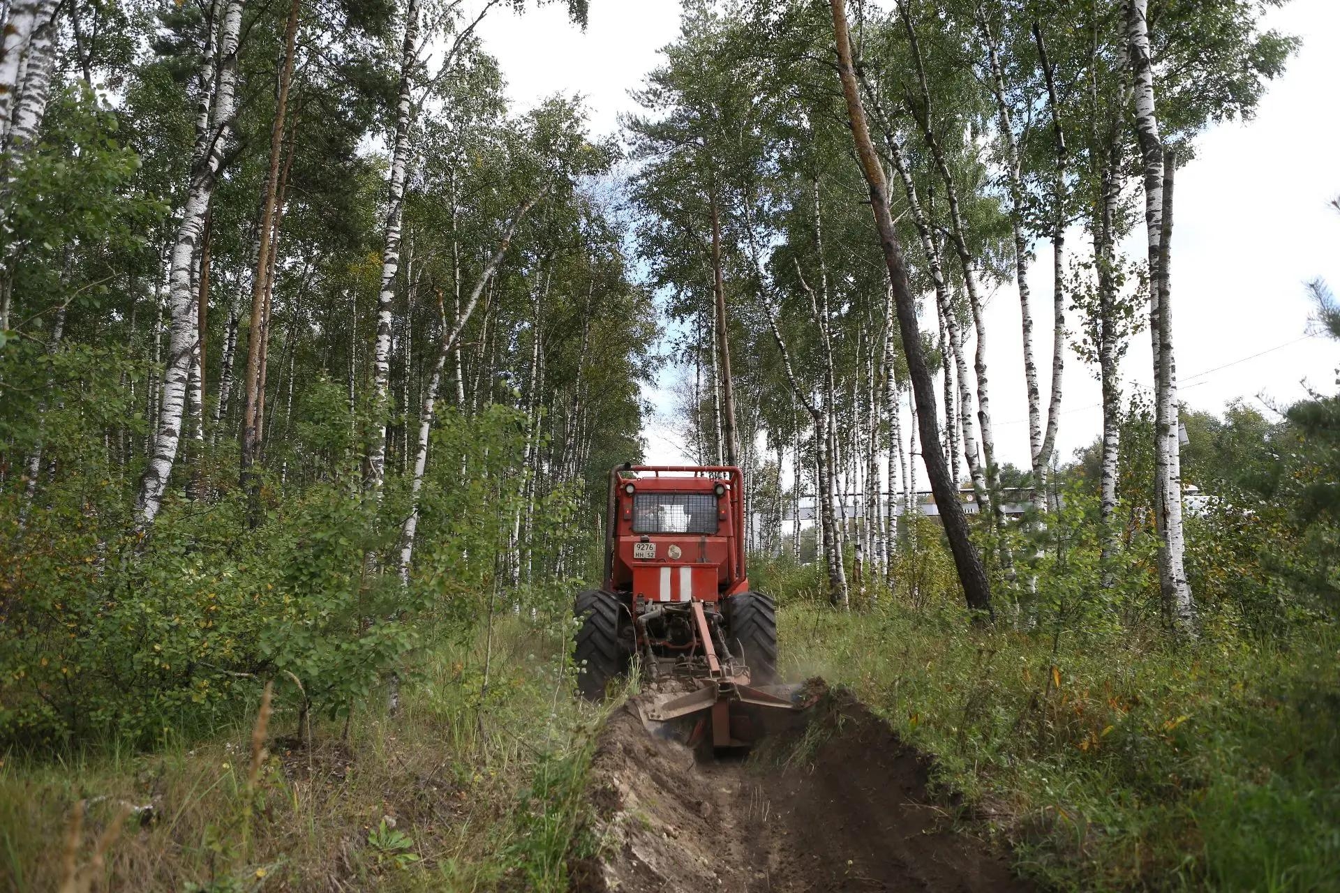 В Дзержинске ведется масштабная и системная работа по сохранению городских лесов и обеспечению пожарной безопасности.