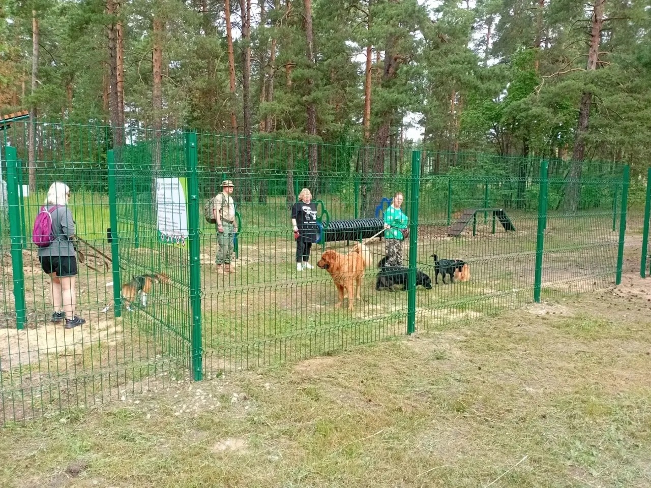 В парке «Молодёжный» открылись площадки для выгула собак