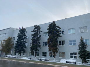 Четыре ели и западную тую пересадят от здания администрации города Дзержинска в дендрарий