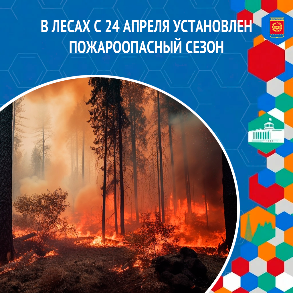 В лесах Нижегородской области с 24 апреля установлен пожароопасный сезон.