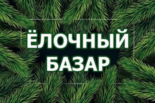 Внимание! С 26 декабря в Дзержинске начинается торговля живыми елями.