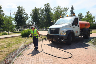 В Дзержинске на полив зеленых насаждений расходуется 16 кубометров воды ежедневно