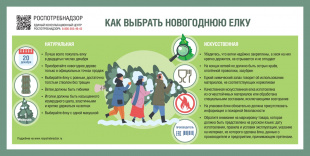 Роспотребнадзор напоминает, как правильно выбрать новогоднюю елку