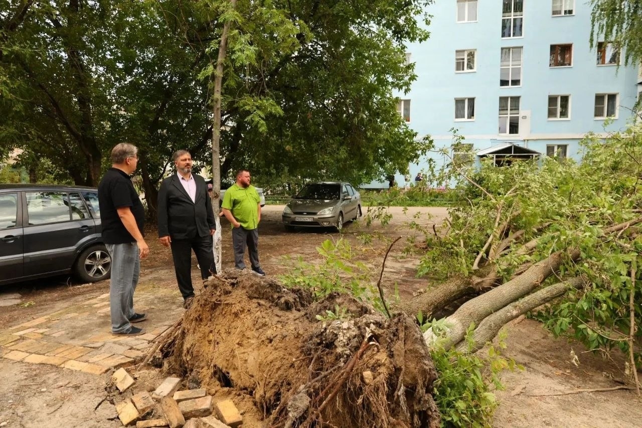 В ночь на субботу в Дзержинск вновь пришёл ураганный ветер с порывами до 20 м/с