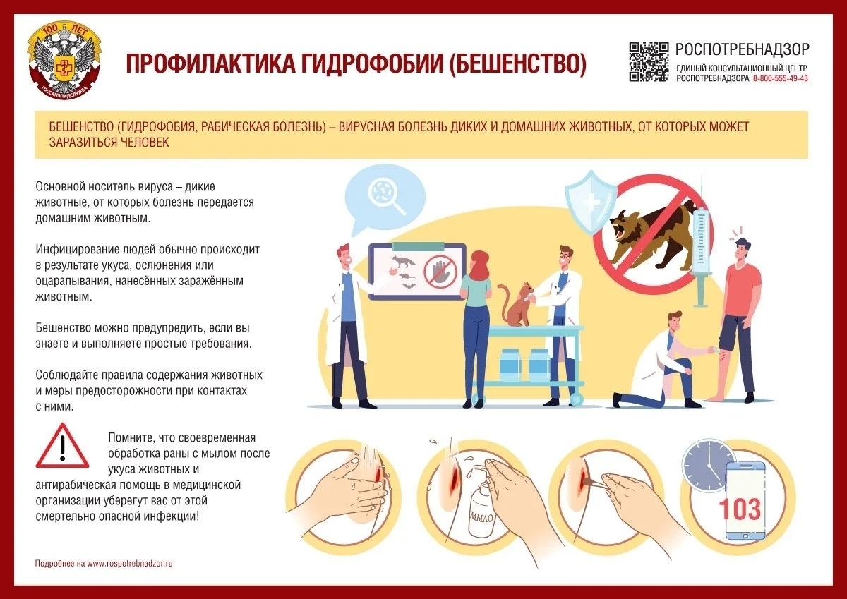 Роспотребнадзор напоминает: бешенство можно только предотвратить, средств лечения нет