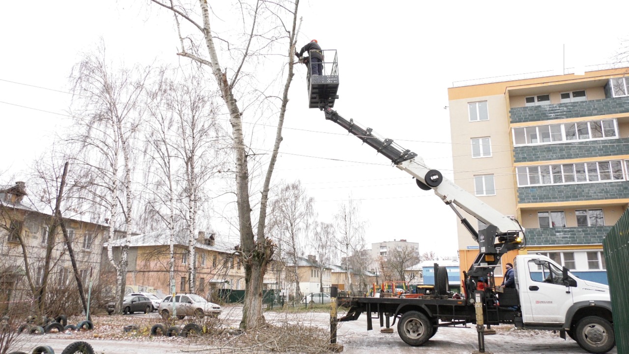 В Дзержинске началась масштабная работа по кронированию и вырубке сухих деревьев