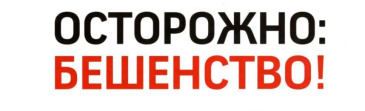 Памятка по профилактике бешенства