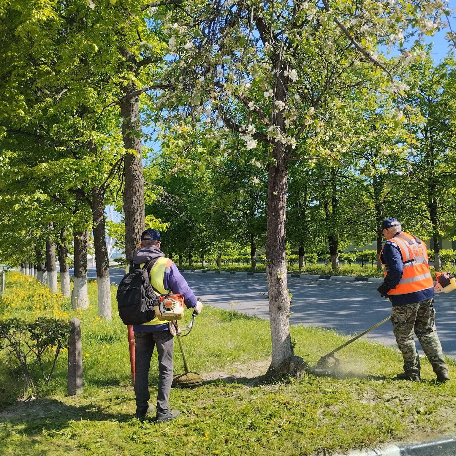 В Дзержинске приступили к летнему уходу за зелеными насаждениями.