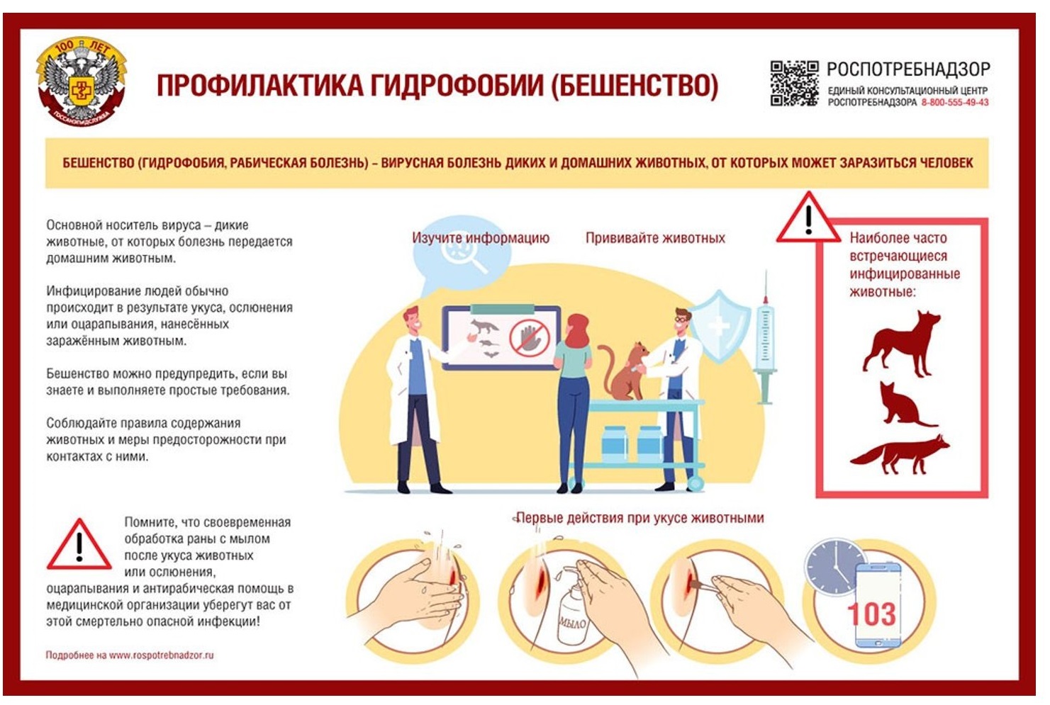 Роспотребнадзор информирует о рекомендациях по профилактике бешенства