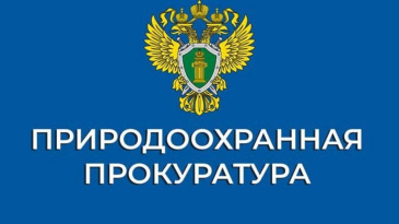 Нижегородская межрайонная природоохранная прокуратура разъясняет