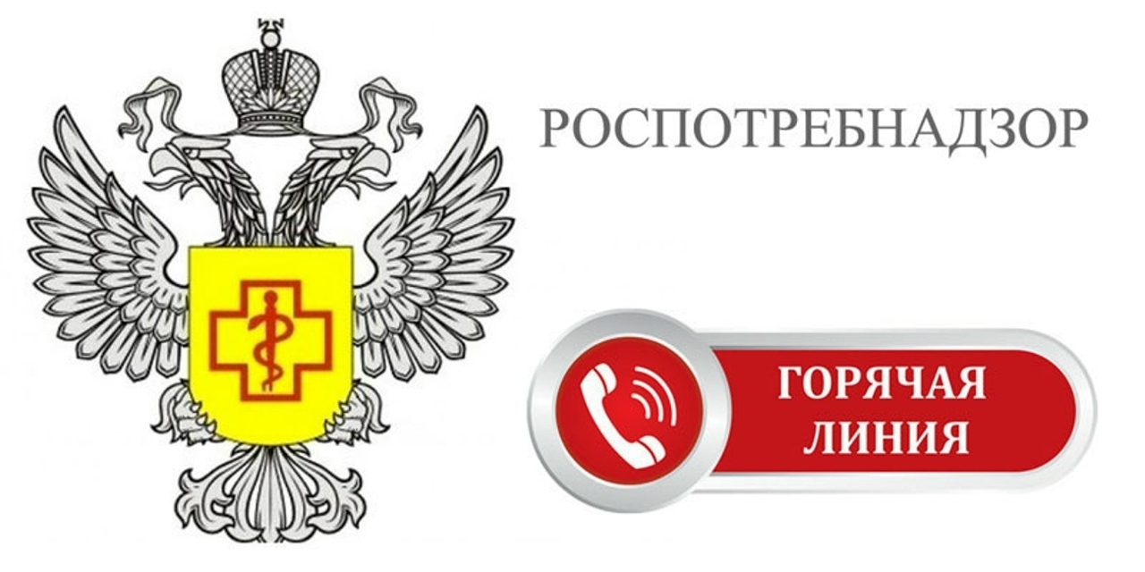 Горячая линия по вопросам детского отдыха