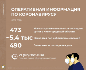 В 19 районах Нижегородской области новых случаев заражения COVID-19 не выявлено