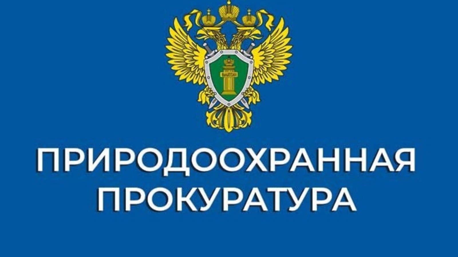 Нижегородская межрайонная природоохранная прокуратура разъясняет