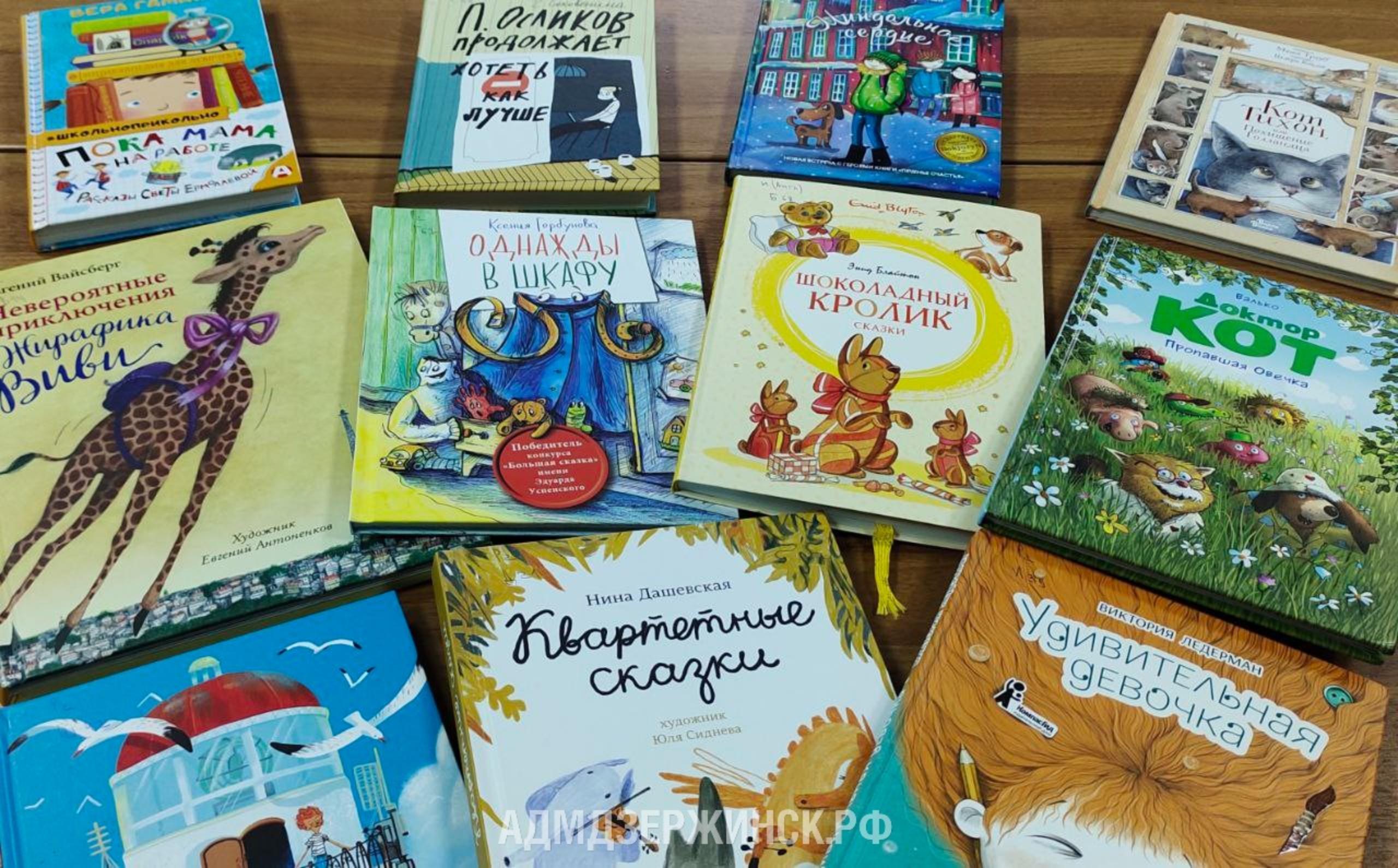 Более 4,5 тысяч книг пополнили городские библиотеки Дзержинска в 2023 году
