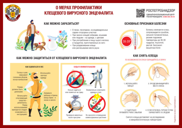 Об эпидемиологической ситуации по инфекциям, передающимся клещами