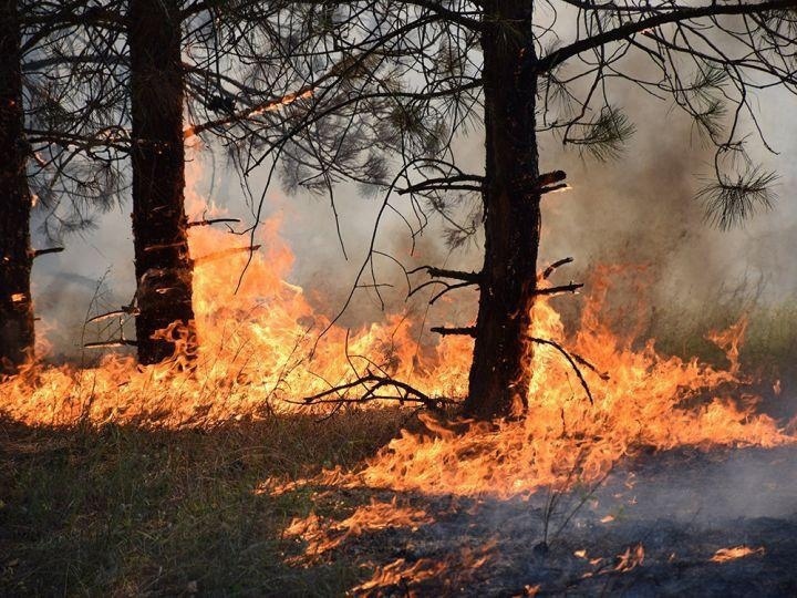 ЕДДС г. Дзержинска информирует